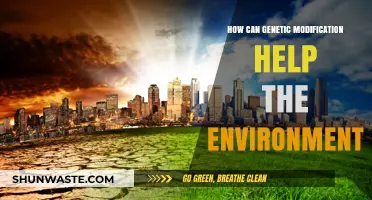 Genetic Modification: A Sustainable Solution for Environmental Conservation