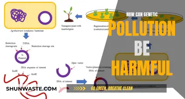 Genetic Pollution: Harmful Impacts and Lasting Ecological Damage