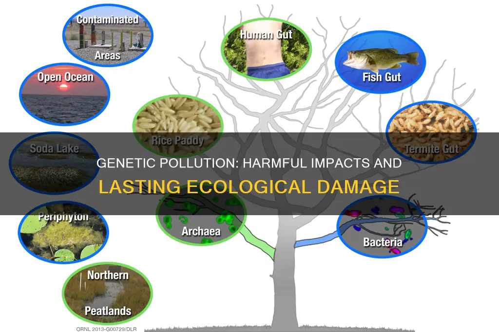 how can genetic pollution be harmful