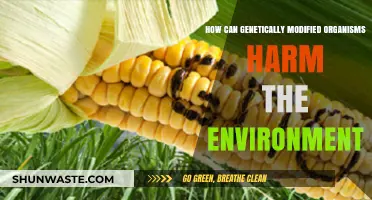 GMO Environmental Impact: Unveiling Potential Harms to Ecosystems