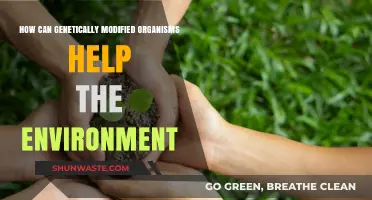 Genetically Modified Organisms: Eco-Friendly Solutions for a Sustainable Future