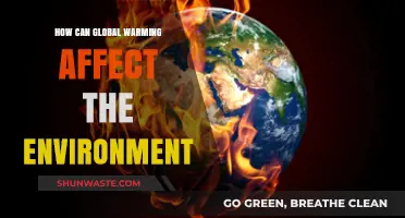 Global Warming's Devastating Impact: Unraveling Environmental Consequences and Threats