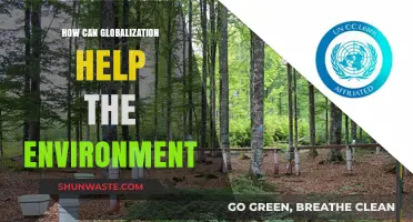 Global Collaboration: Uniting Nations to Foster Environmental Sustainability