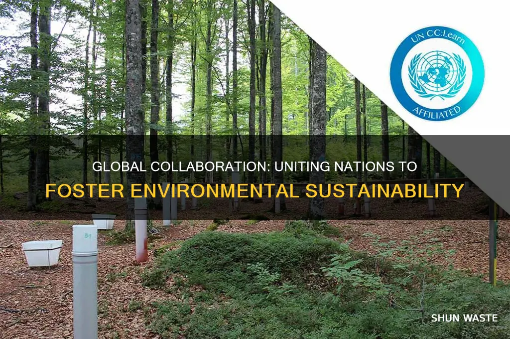 how can globalization help the environment