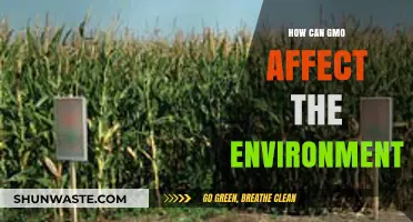 GMO Impact: Environmental Effects and Ecosystem Changes Explained