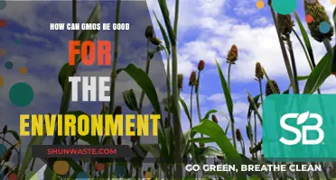 GMOs and Sustainability: Unlocking Eco-Friendly Agricultural Solutions