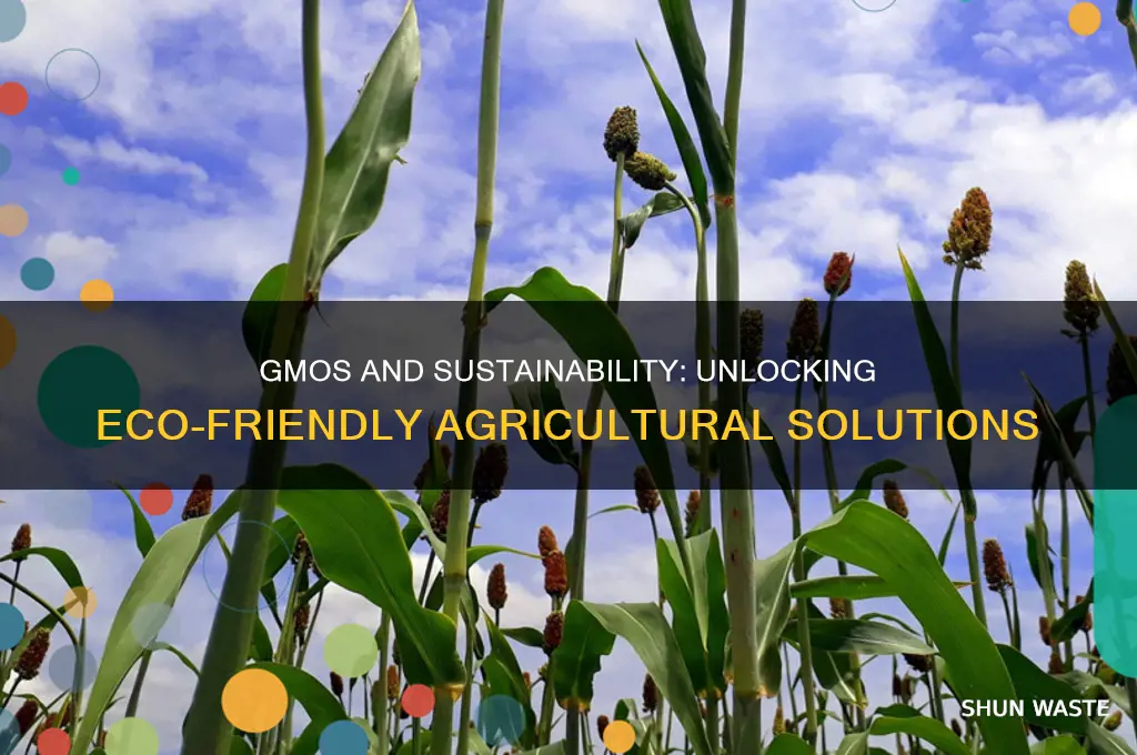 how can gmos be good for the environment