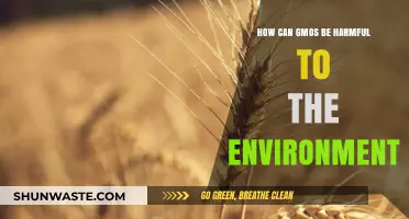 GMO Environmental Impact: Uncovering Potential Harms to Ecosystems and Biodiversity