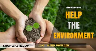 GMOs and Environmental Benefits: Sustainable Solutions for a Greener Future