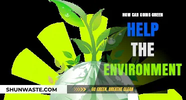 Sustainable Living: How Going Green Protects Our Planet and Future