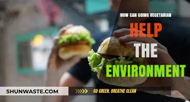 Vegetarianism's Green Impact: How Plant-Based Diets Benefit Our Planet