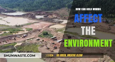 Gold Mining's Environmental Impact: Destruction, Pollution, and Ecosystem Disruption