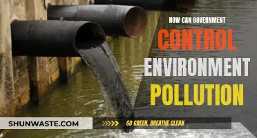 Government Strategies to Control Environmental Pollution