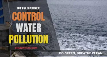 Strategies for Government Action: Controlling Water Pollution