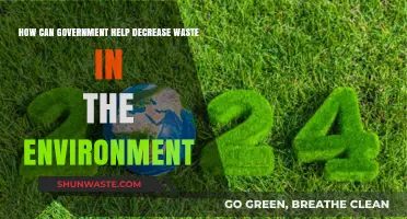 Government Strategies to Reduce Environmental Waste and Promote Sustainability