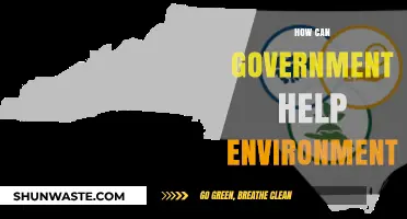 Government's Role in Environmental Protection: Strategies for a Sustainable Future