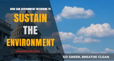 Government Strategies for Sustaining Our Environment: Policies and Actions