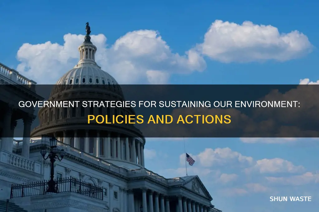 how can government intervene to sustain the environment