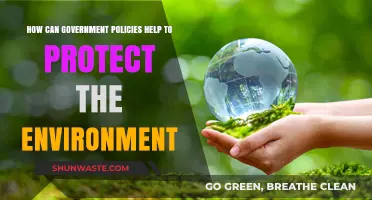 Government Policies: Key Strategies for Environmental Protection and Sustainability
