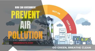 Government Strategies to Combat Air Pollution