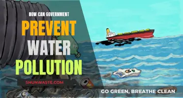 Government Strategies to Combat Water Pollution