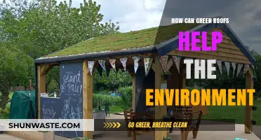 Green Roofs: Sustainable Solutions for Urban Environmental Challenges