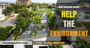 Green Spaces: Revitalizing Ecosystems and Combating Climate Change Naturally
