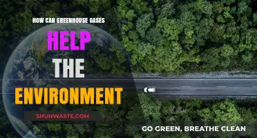 Greenhouse Gases: Unlocking Environmental Benefits for a Sustainable Future