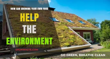 Sustainable Gardening: How Growing Your Own Food Benefits the Environment