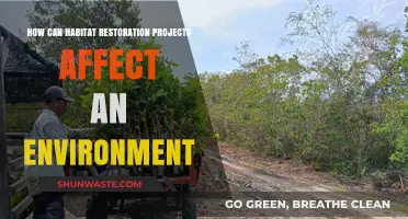 Reviving Ecosystems: The Impact of Habitat Restoration on Environments