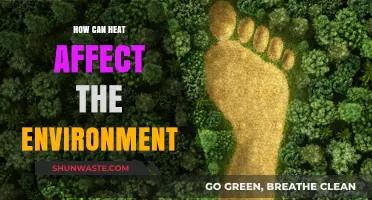 Heat's Impact: Unraveling Environmental Consequences and Global Challenges