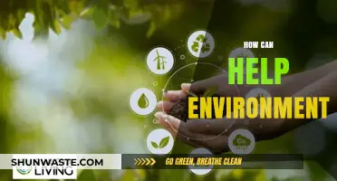 Sustainable Steps: Simple Ways to Protect and Preserve Our Environment
