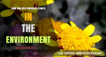 Sustainable Practices to Protect and Preserve Plants in Our Environment