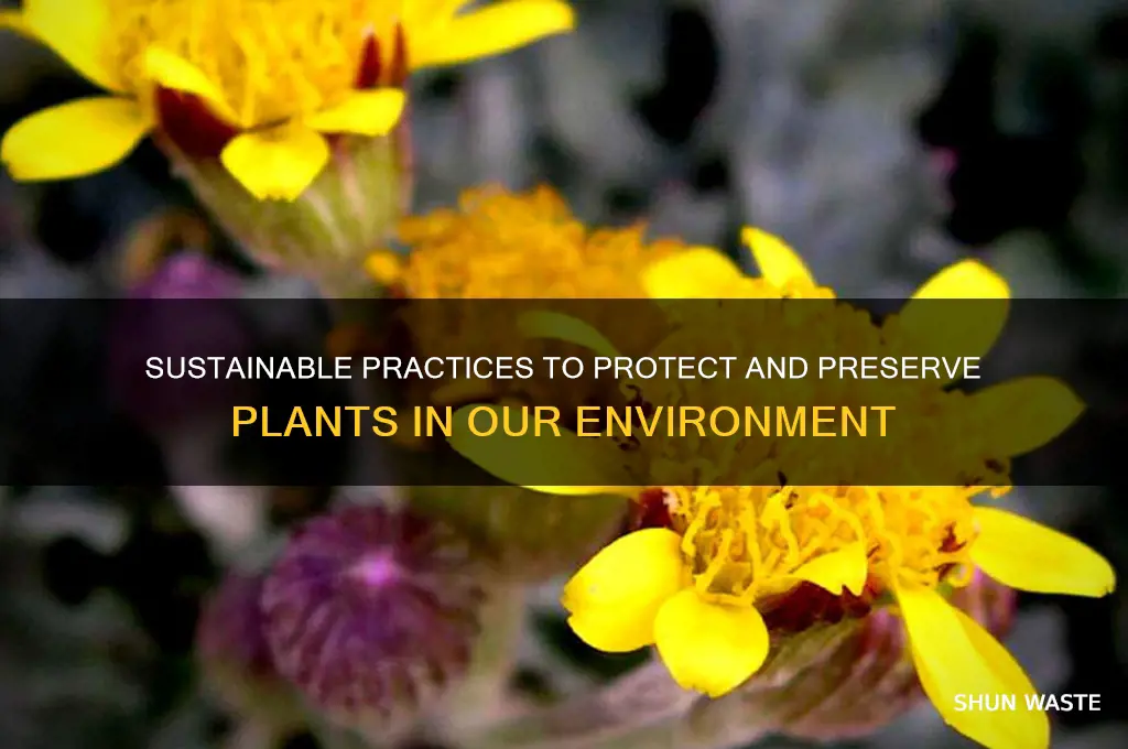 how can help preserve plants in the environment