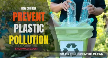 Preventing Plastic Pollution: Simple Steps for a Healthier Planet