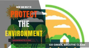 Sustainable Steps: Simple Actions to Protect Our Environment Effectively