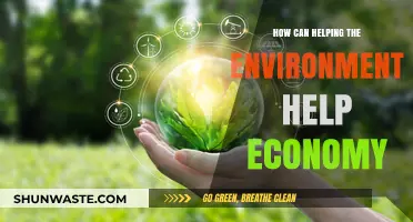 Sustainable Solutions: How Environmental Conservation Boosts Economic Growth
