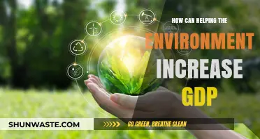 Sustainable Growth: How Environmental Initiatives Boost Economic Prosperity