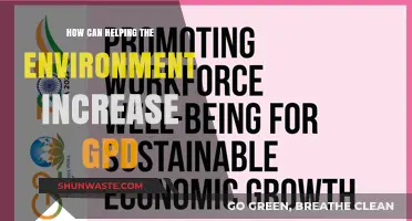 Boosting GDP Through Sustainable Practices: The Economic Power of Environmental Action