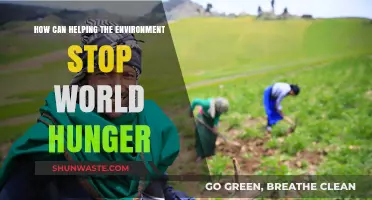 Sustainable Solutions: How Environmental Action Combats Global Hunger Crisis