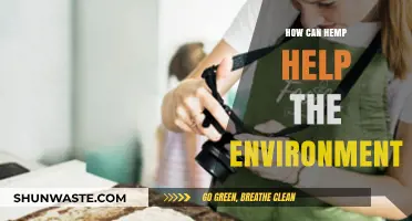 Hemp's Eco-Friendly Impact: Sustainable Solutions for a Greener Planet