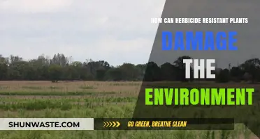 Herbicide-Resistant Plants: Environmental Threats and Ecosystem Disruption Explained
