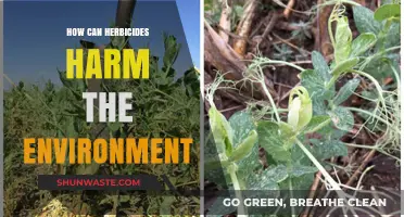 Herbicides' Hidden Impact: Uncovering Environmental Damage and Ecosystem Risks