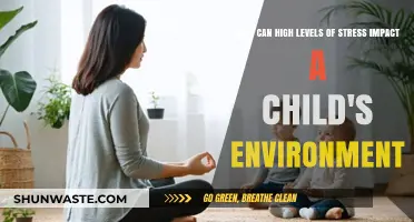 Stressful Surroundings: How High Stress Levels Shape a Child’s Environment