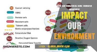 Horizontal Gene Transfer: Unintended Ecological Consequences and Environmental Risks