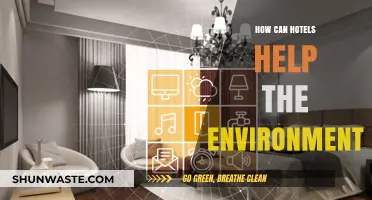 Sustainable Hospitality: How Hotels Can Champion Environmental Conservation Efforts