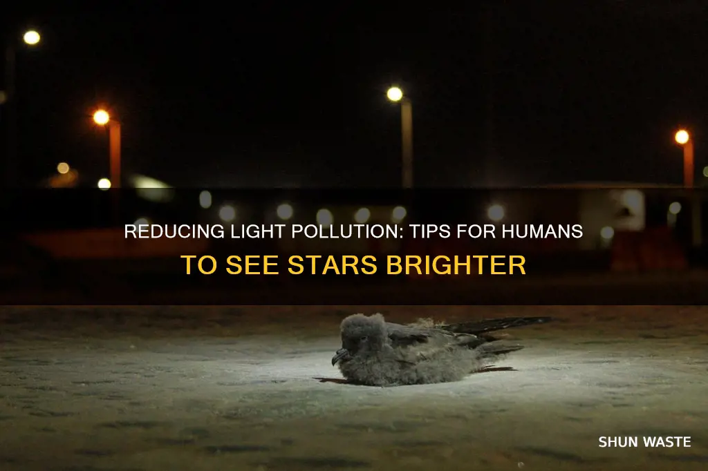 how can huma ns reduce light pollution