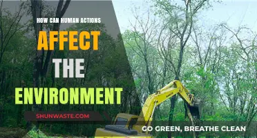 Human Impact: How Our Actions Shape the Environment's Future