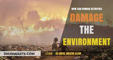 Human Actions and Their Devastating Impact on Our Fragile Environment