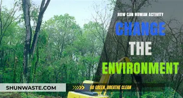 Human Impact: How Our Actions Reshape the Environment